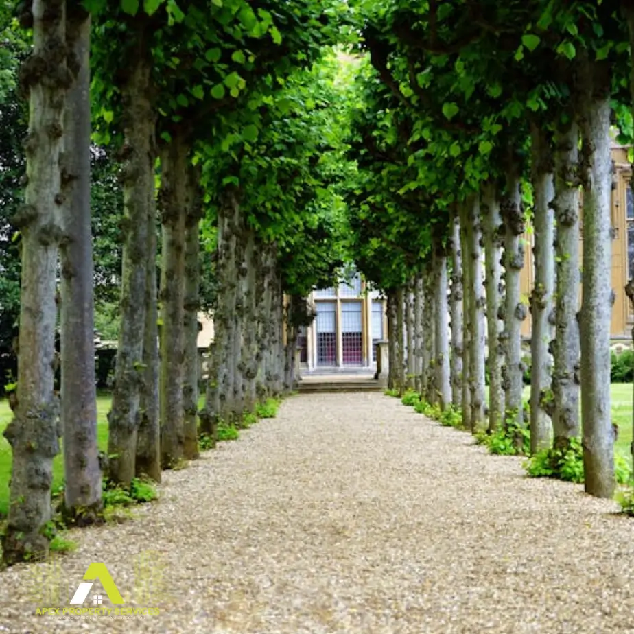 Gardener and Landscaper Iow