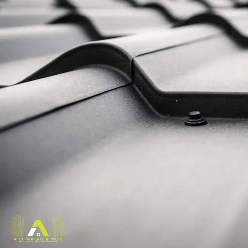 Roof repairs Isle of Wight